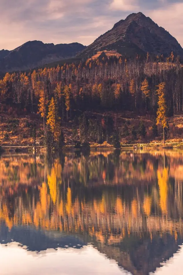 Reflejos de otoño en un lago