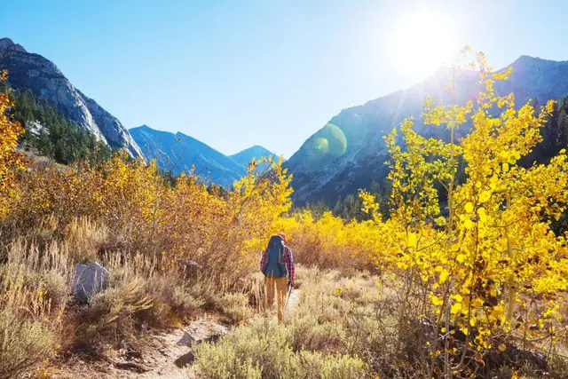 Un sendero entre paisajes de otoño