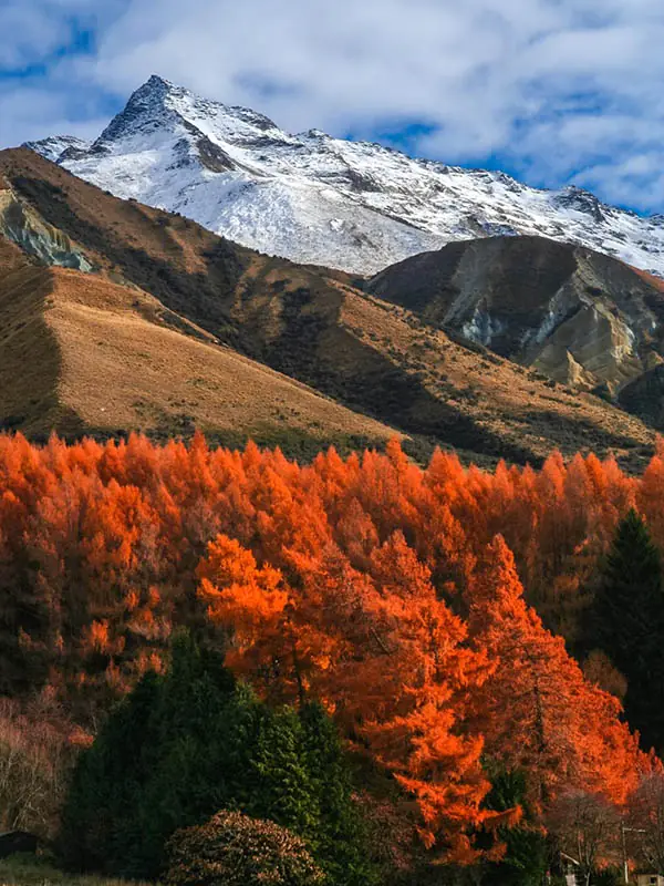 Nueva Zelanda